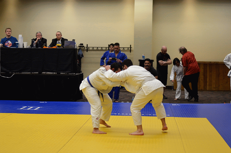 Uchi Mata